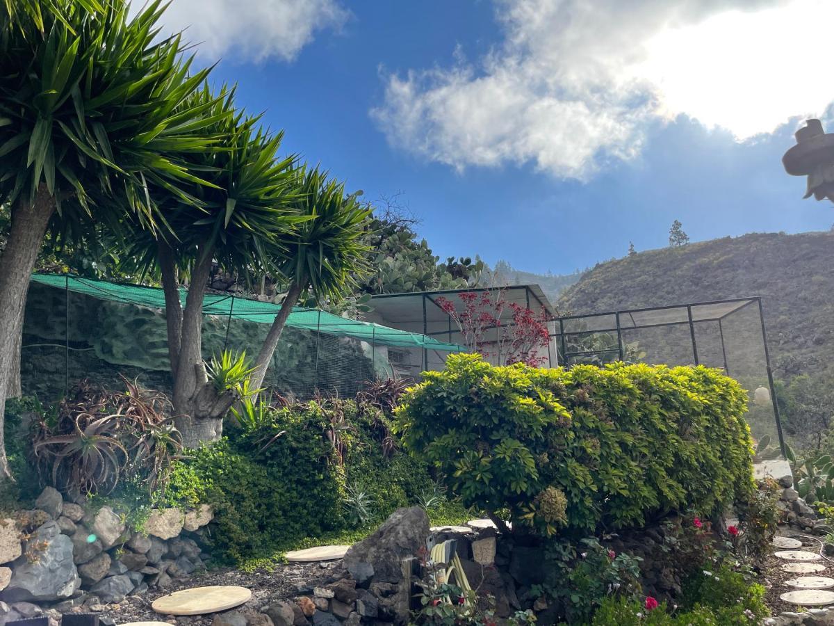 El Jaral Casa Niagaraヴィラ エクステリア 写真